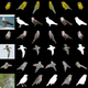 Illustration for article titled Nvidia Taught an AI to Instantly Generate Fully-Textured 3D Models From Flat 2D Images